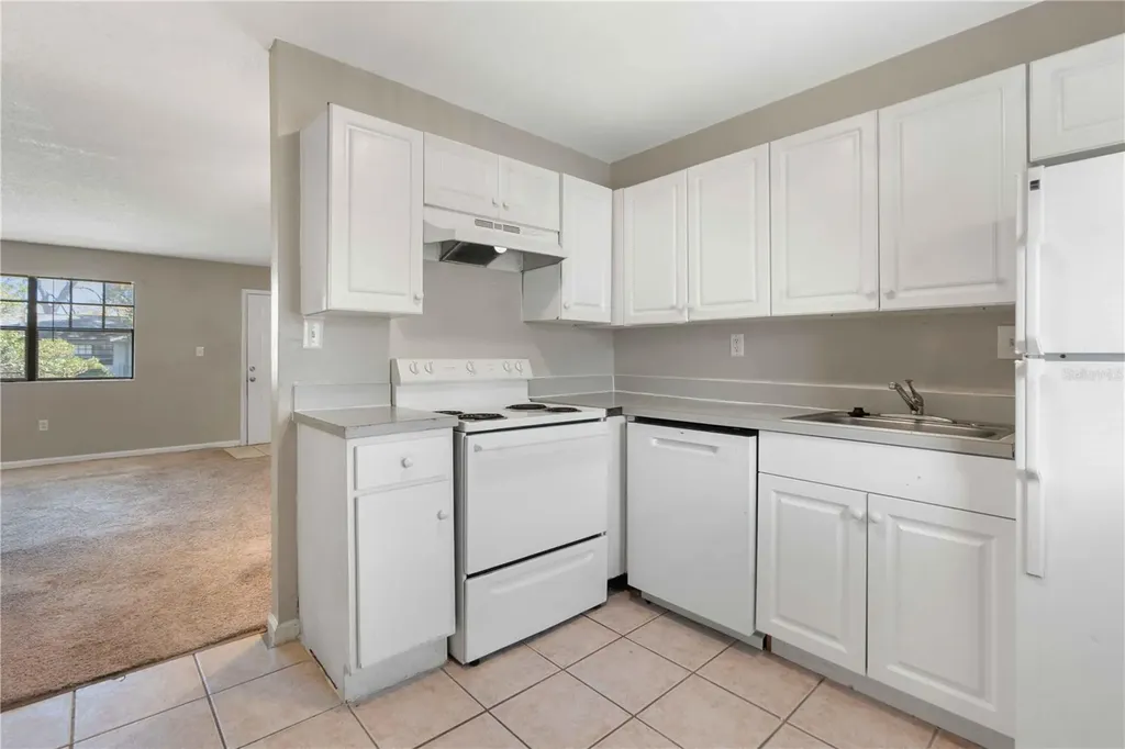 204 Pine Tulip Court Tampa FL 33612