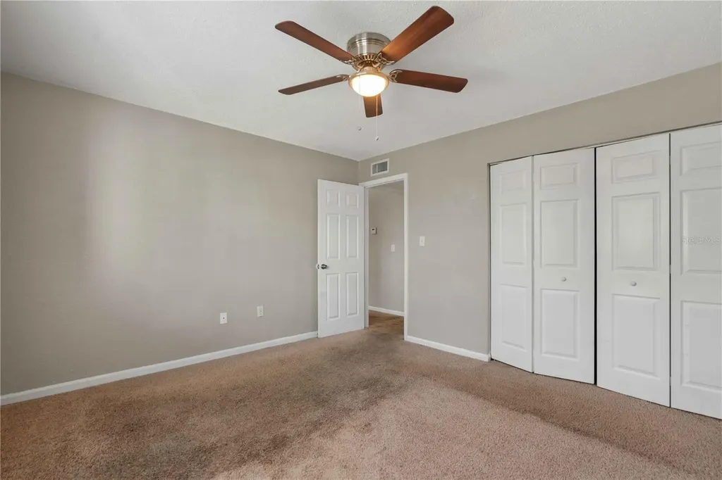 204 Pine Tulip Court Tampa FL 33612