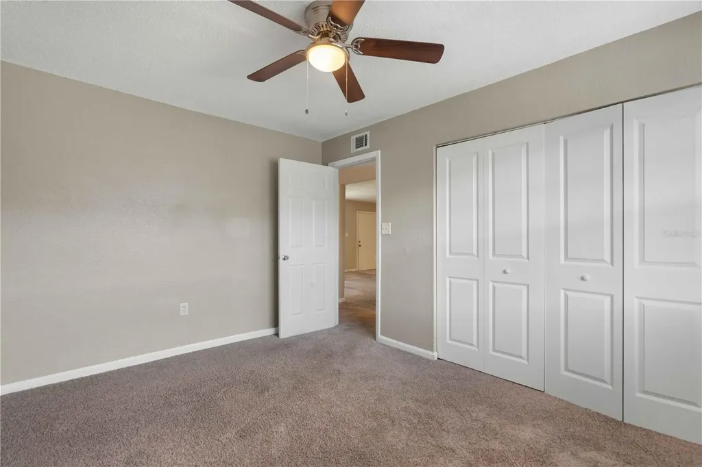 204 Pine Tulip Court Tampa FL 33612