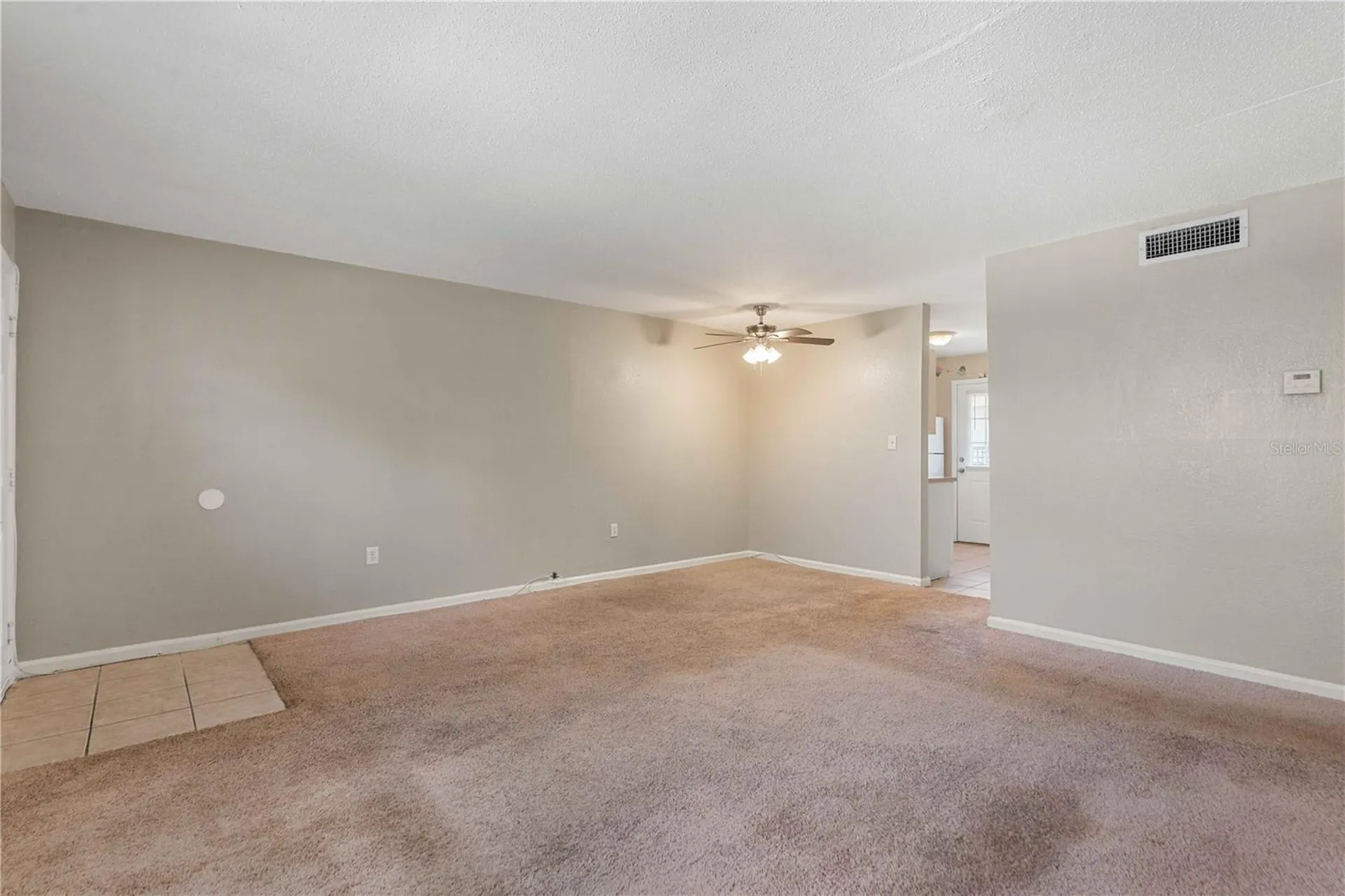 204 Pine Tulip Court Tampa FL 33612