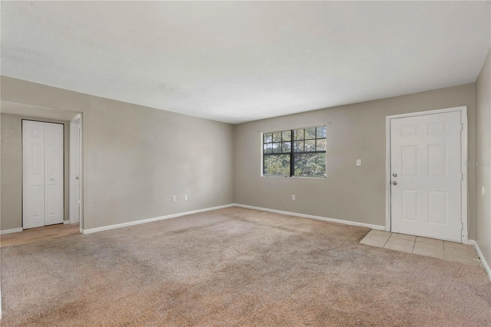 204 Pine Tulip Court Tampa FL 33612