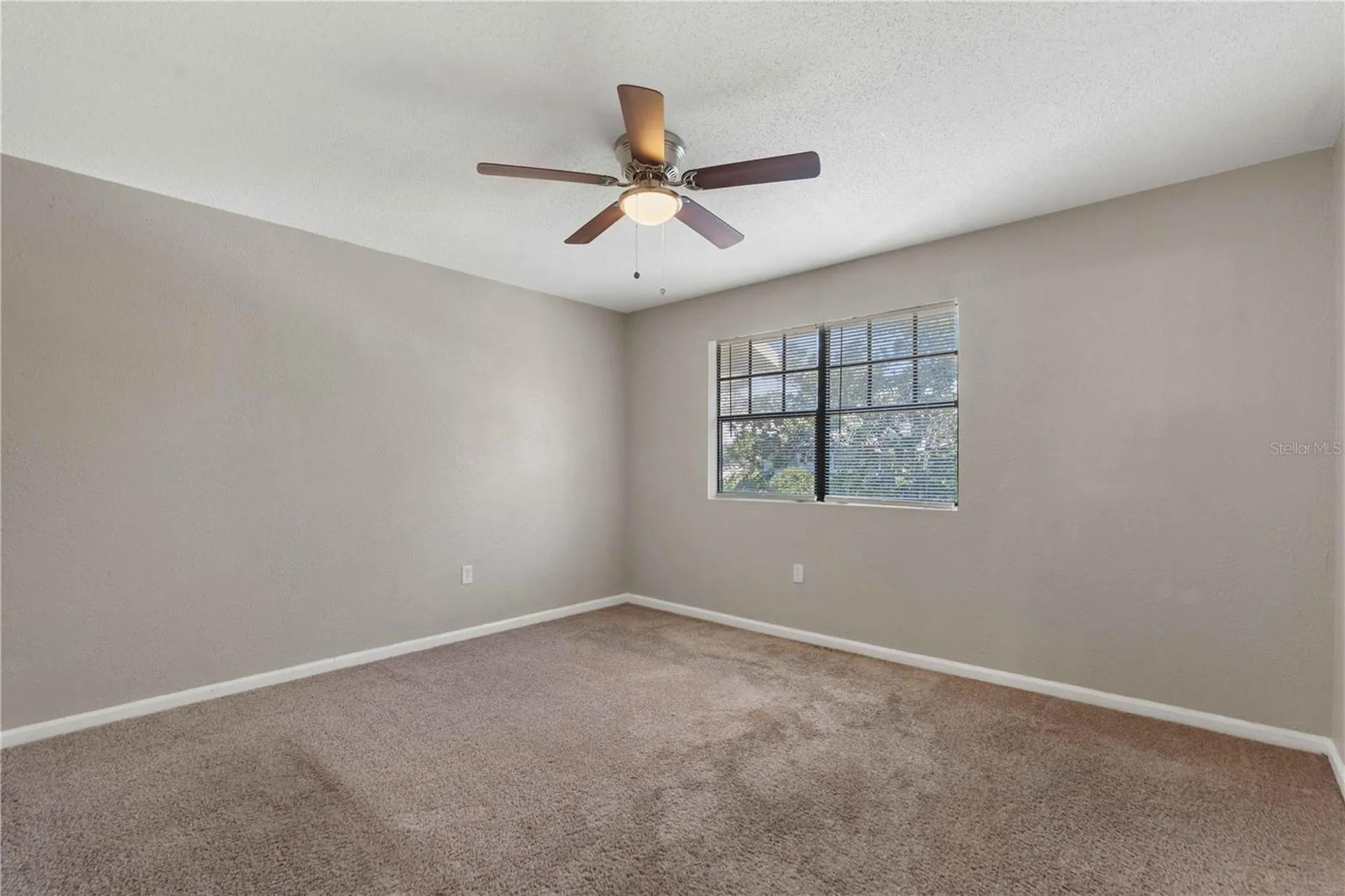 204 Pine Tulip Court Tampa FL 33612