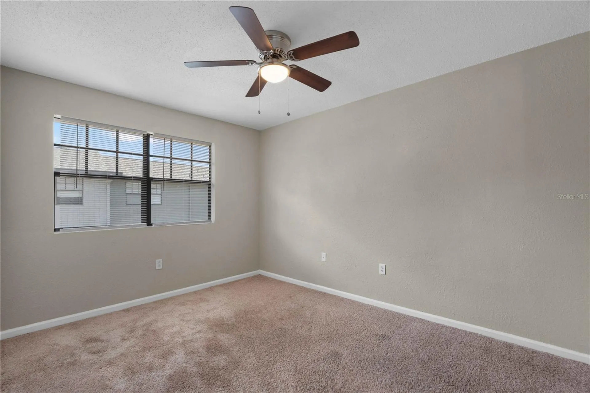 204 Pine Tulip Court Tampa FL 33612