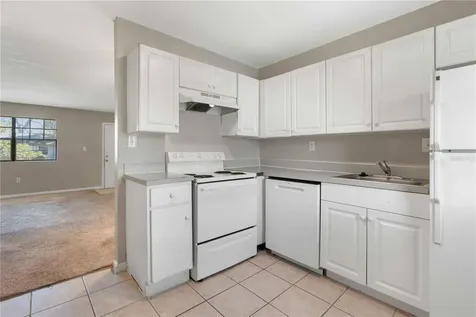 204 Pine Tulip Court Tampa FL 33612