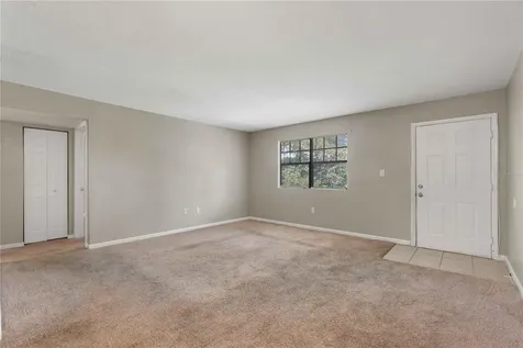 204 Pine Tulip Court Tampa FL 33612