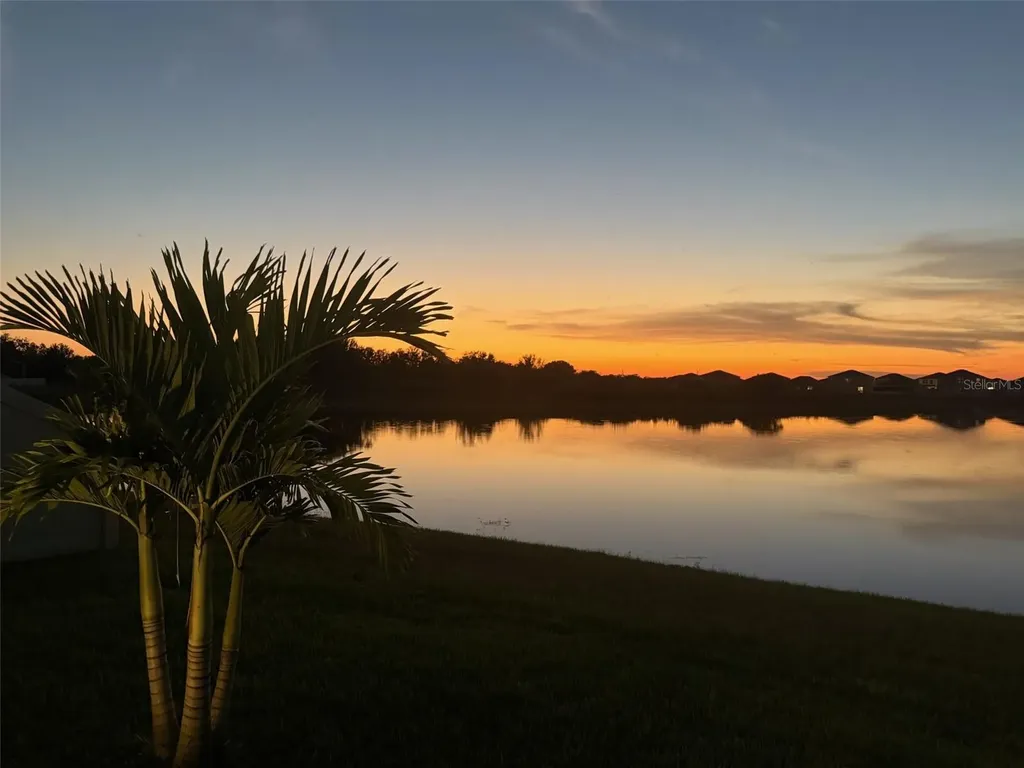 3117 King Fern Drive Wimauma FL 33598