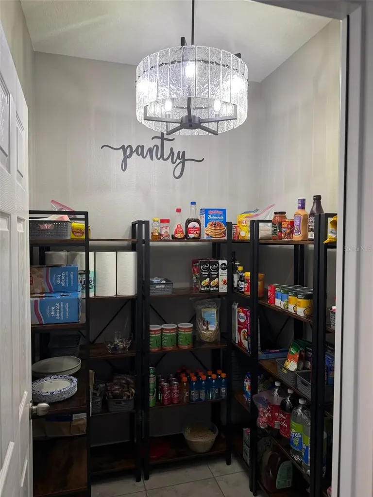 3117 King Fern Drive Wimauma FL 33598