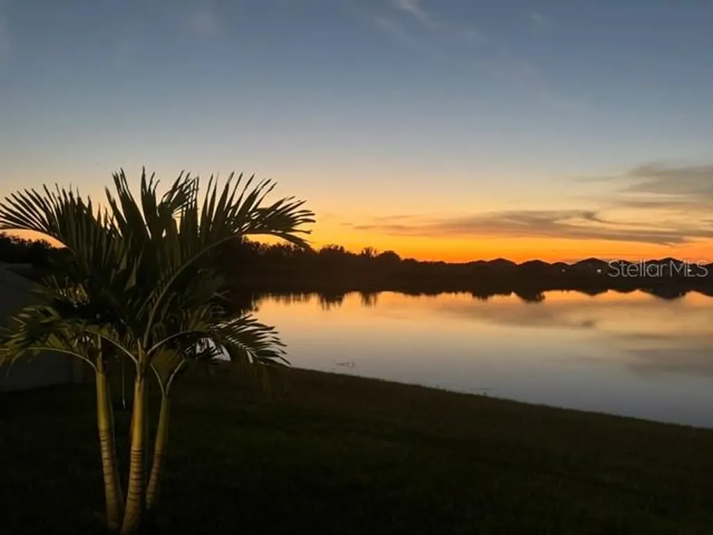 3117 King Fern Drive Wimauma FL 33598