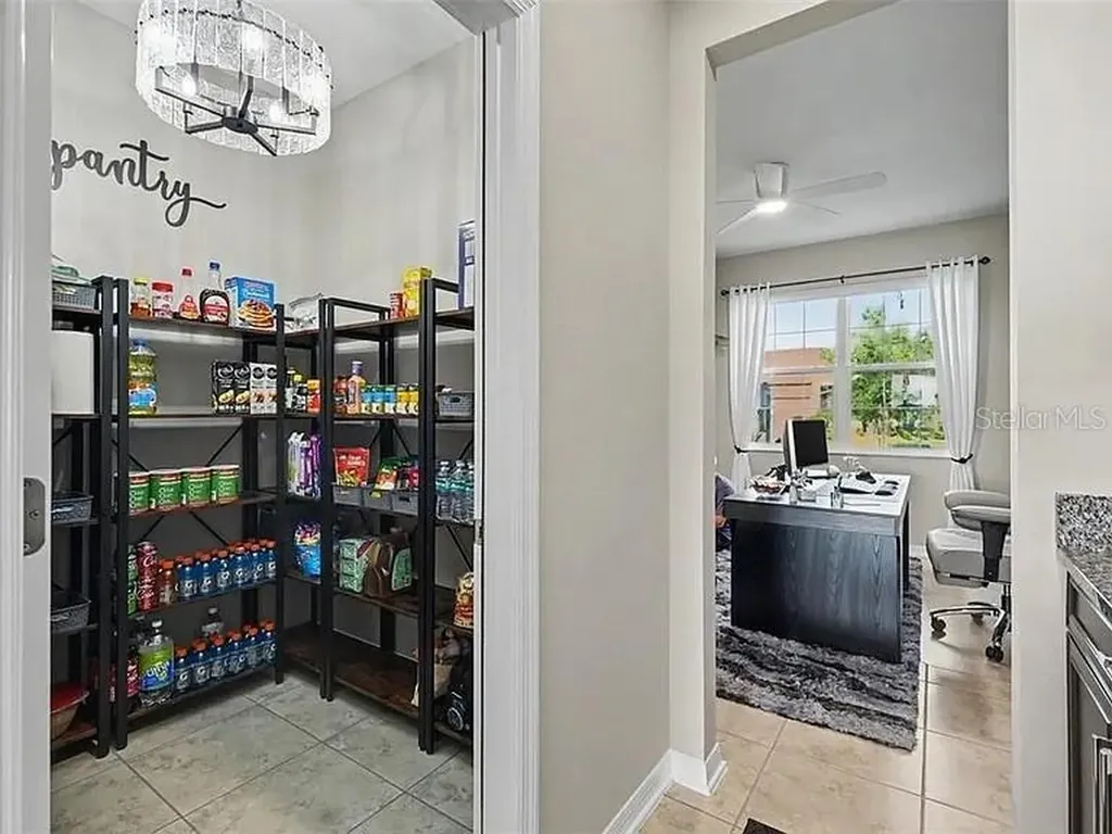 3117 King Fern Drive Wimauma FL 33598