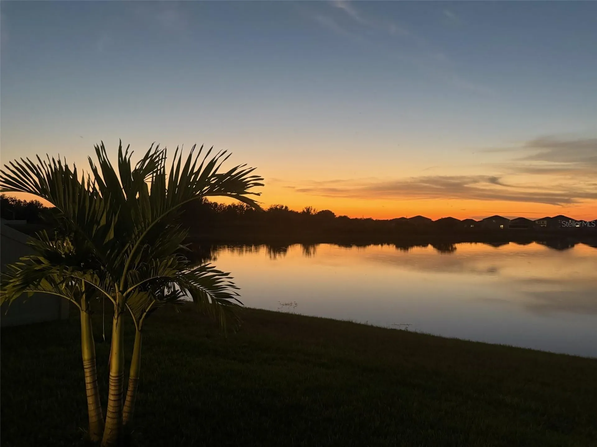 3117 King Fern Drive Wimauma FL 33598