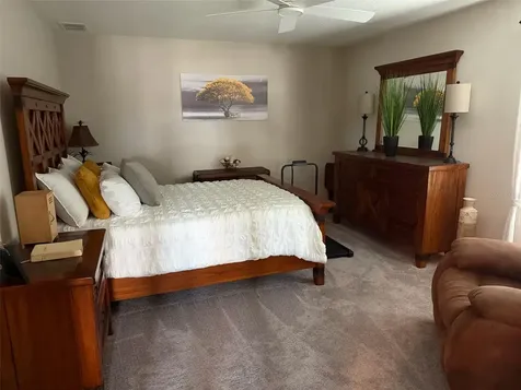 3117 King Fern Drive Wimauma FL 33598