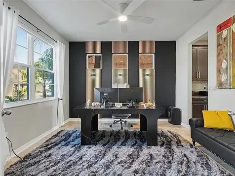 3117 King Fern Drive Wimauma FL 33598