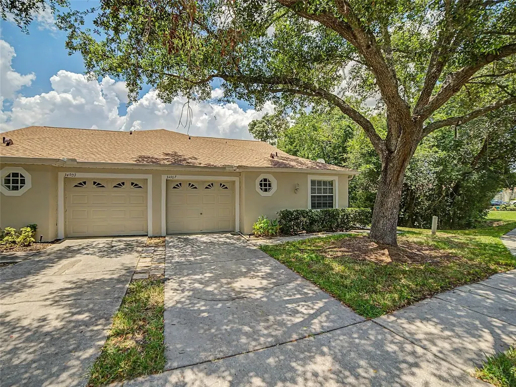 34907 Double Eagle Court Zephyrhills FL 33541