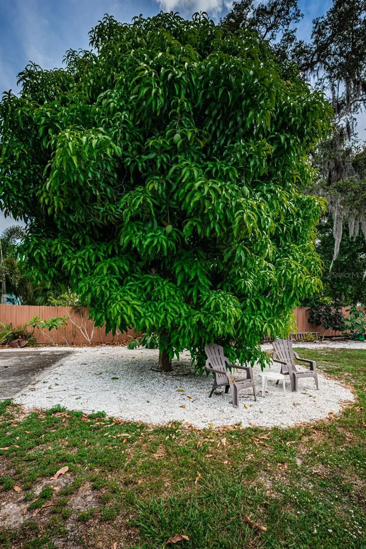 412 Pennsylvania Avenue Palm Harbor FL 34683