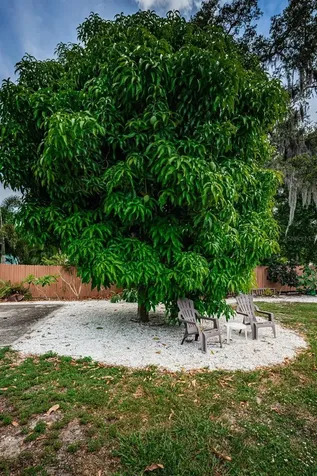 412 Pennsylvania Avenue Palm Harbor FL 34683
