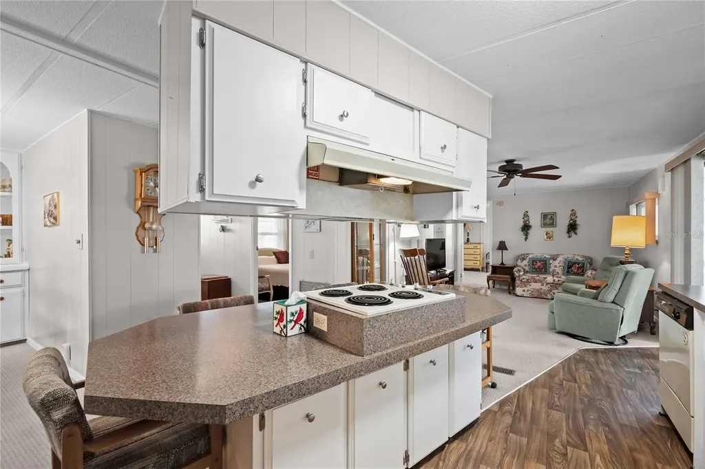 36957 Grace Avenue Zephyrhills FL 33542