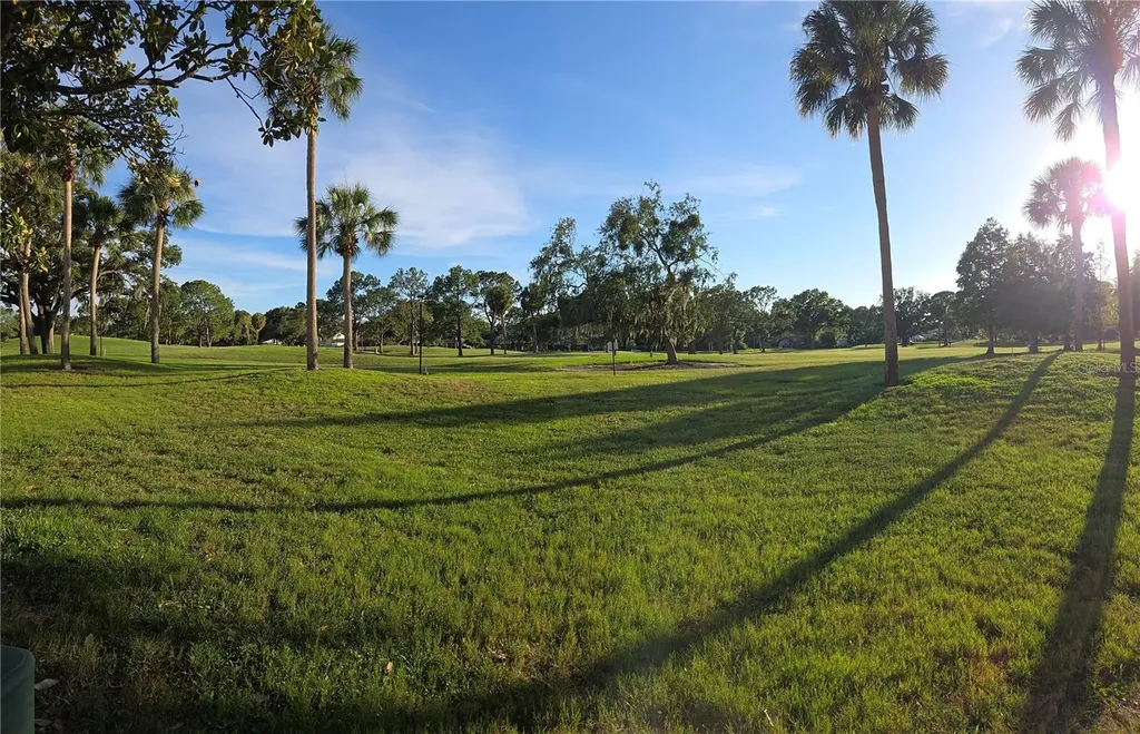 13626 Greenfield Drive Tampa FL 33618