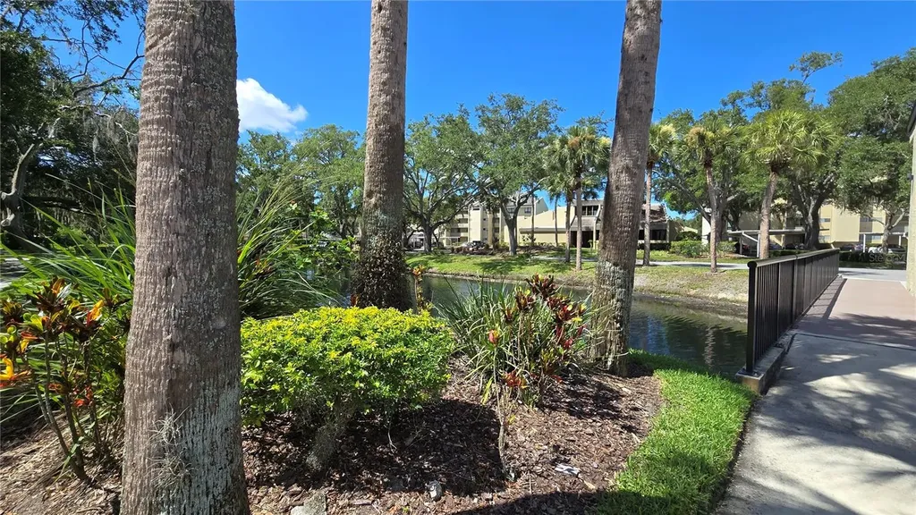 13626 Greenfield Drive Tampa FL 33618
