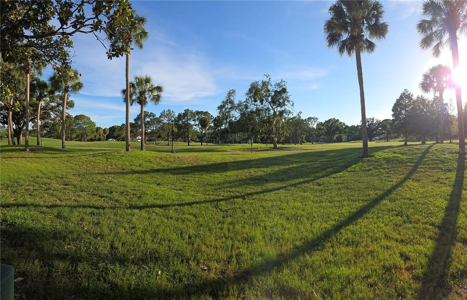 13626 Greenfield Drive Tampa FL 33618