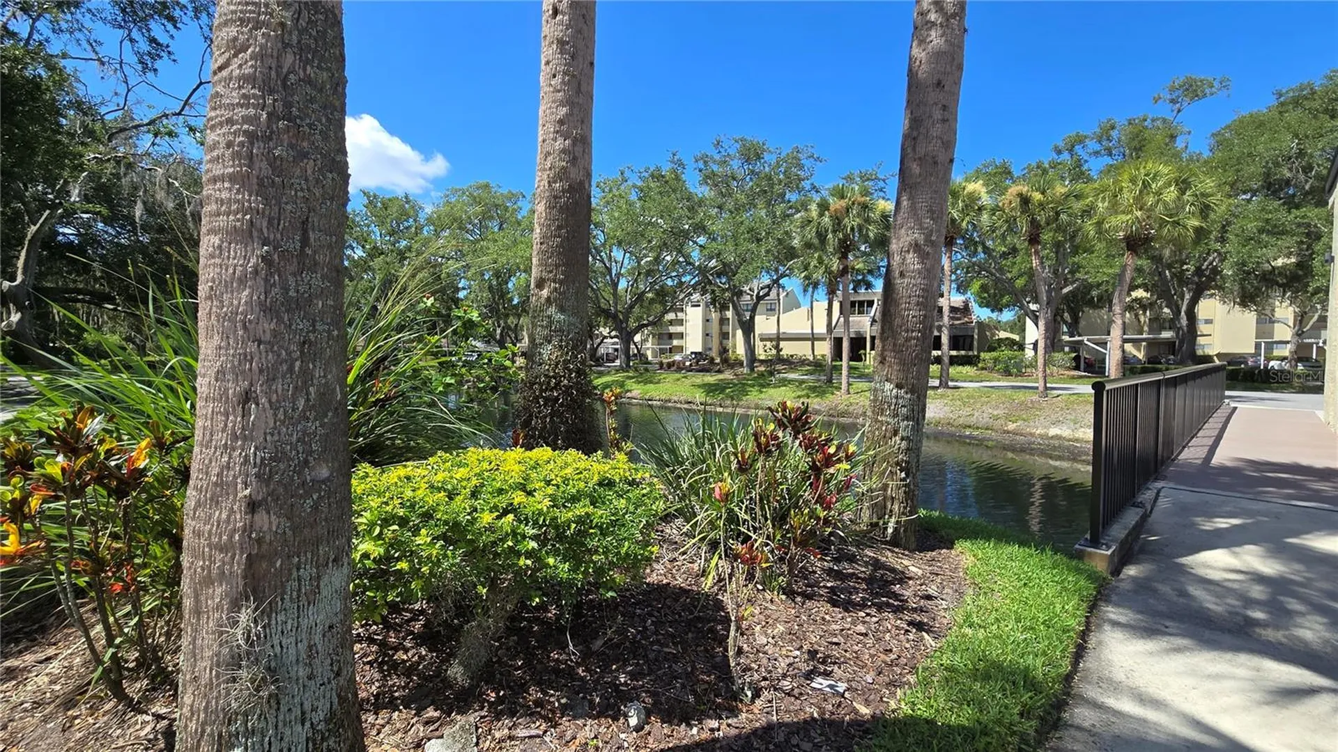 13626 Greenfield Drive Tampa FL 33618