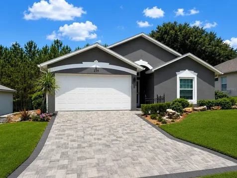 239 China Berry Circle Davenport FL 33837