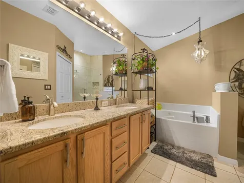 239 China Berry Circle Davenport FL 33837