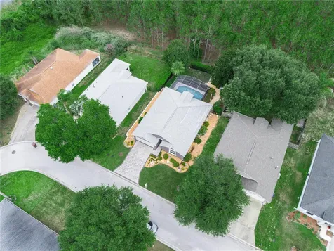 239 China Berry Circle Davenport FL 33837
