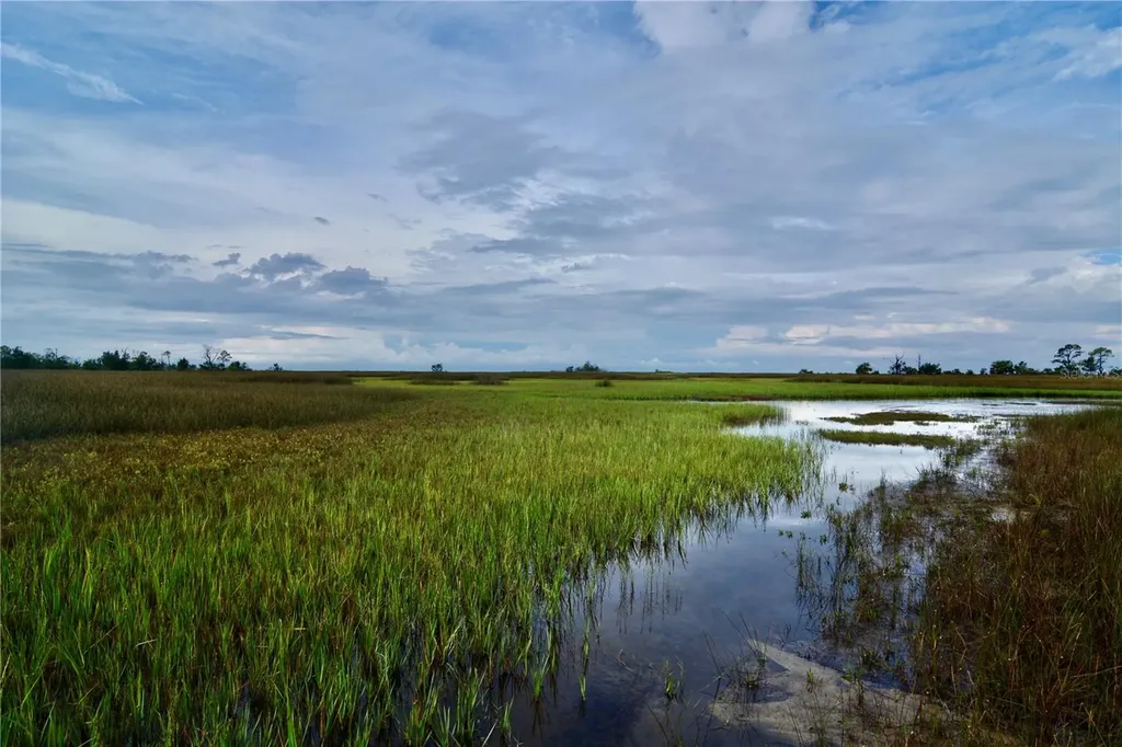 00 Lots 18, 19 Adams Beach Road Perry FL 32348