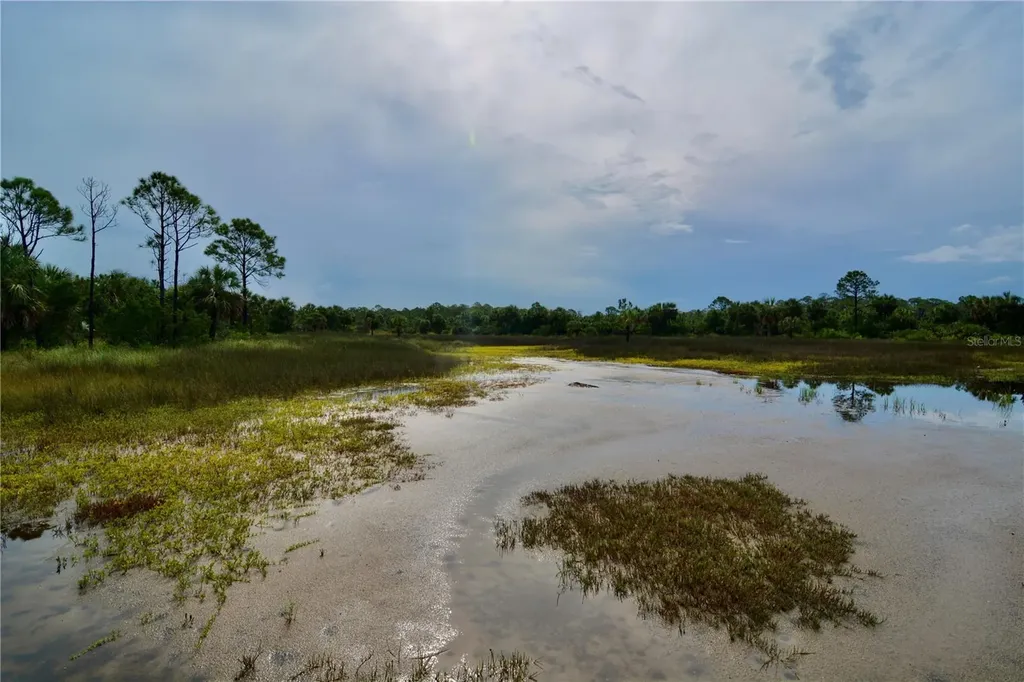00 Lots 18, 19 Adams Beach Road Perry FL 32348