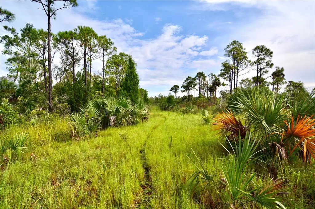 00 Lots 18, 19 Adams Beach Road Perry FL 32348