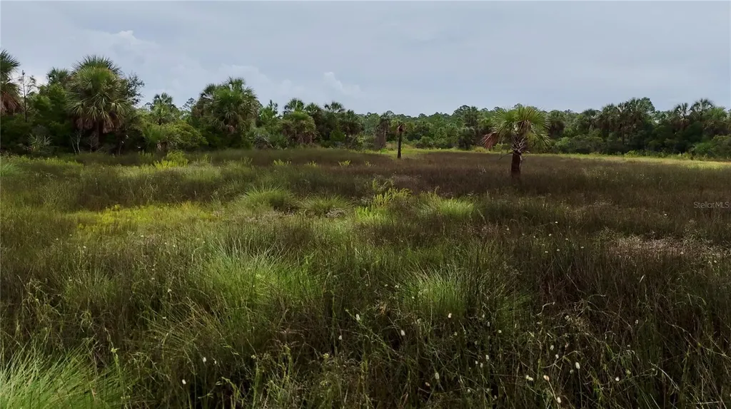 00 Lots 18, 19 Adams Beach Road Perry FL 32348