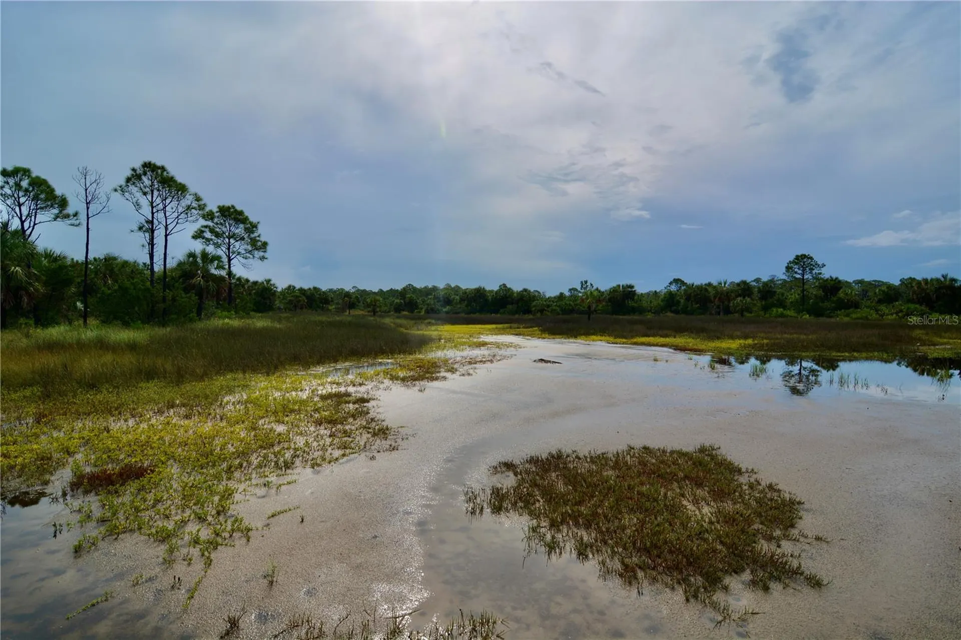 00 Lots 18, 19 Adams Beach Road Perry FL 32348