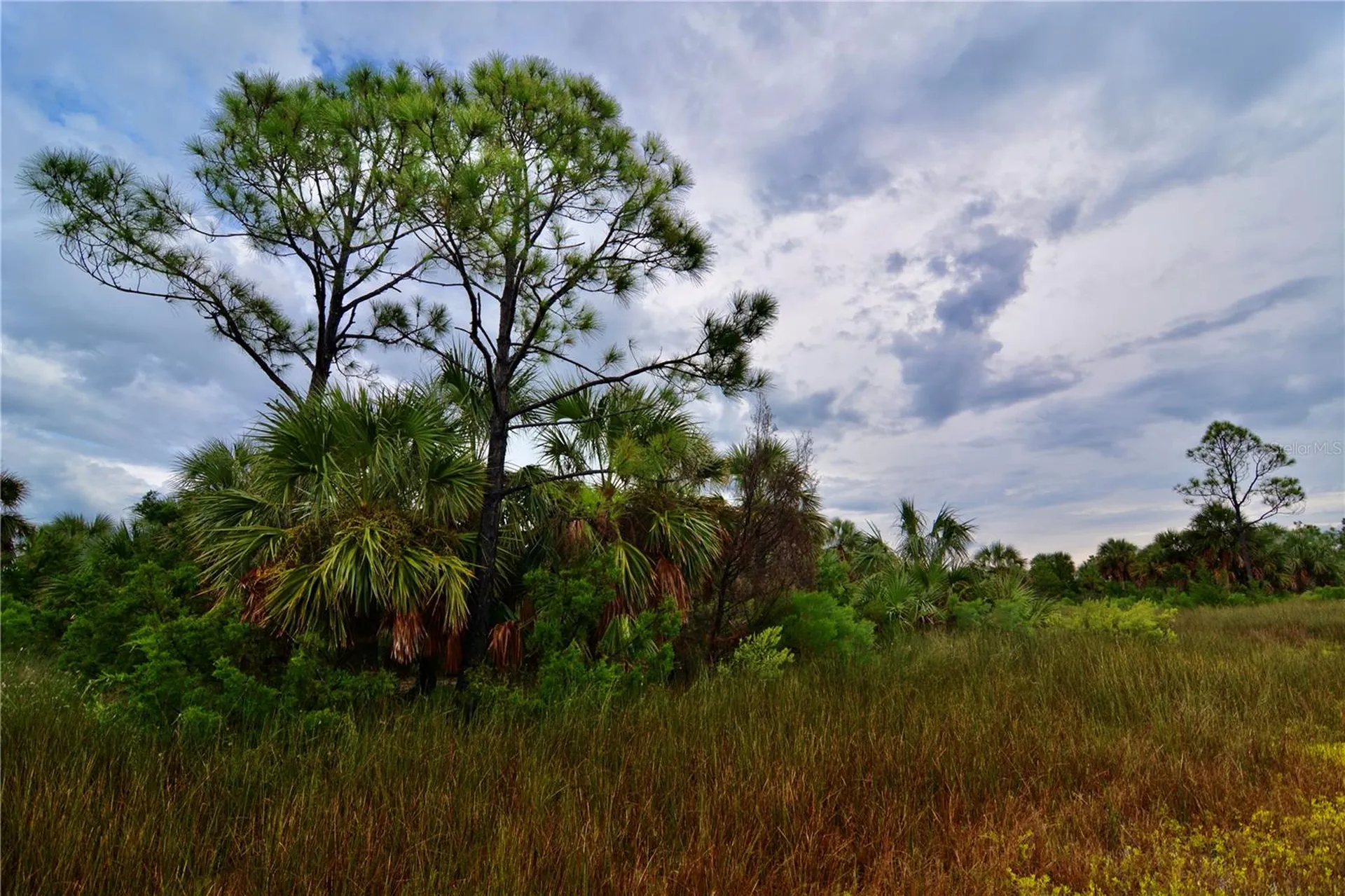 00 Lots 18, 19 Adams Beach Road Perry FL 32348