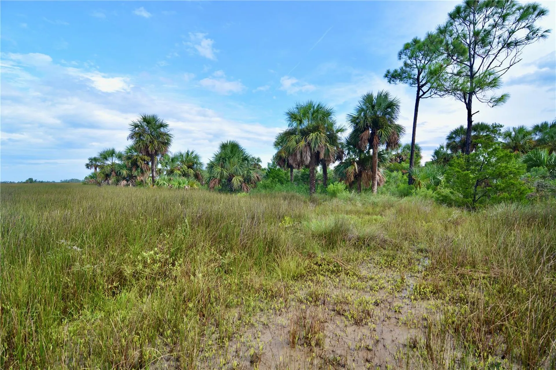 00 Lots 18, 19 Adams Beach Road Perry FL 32348