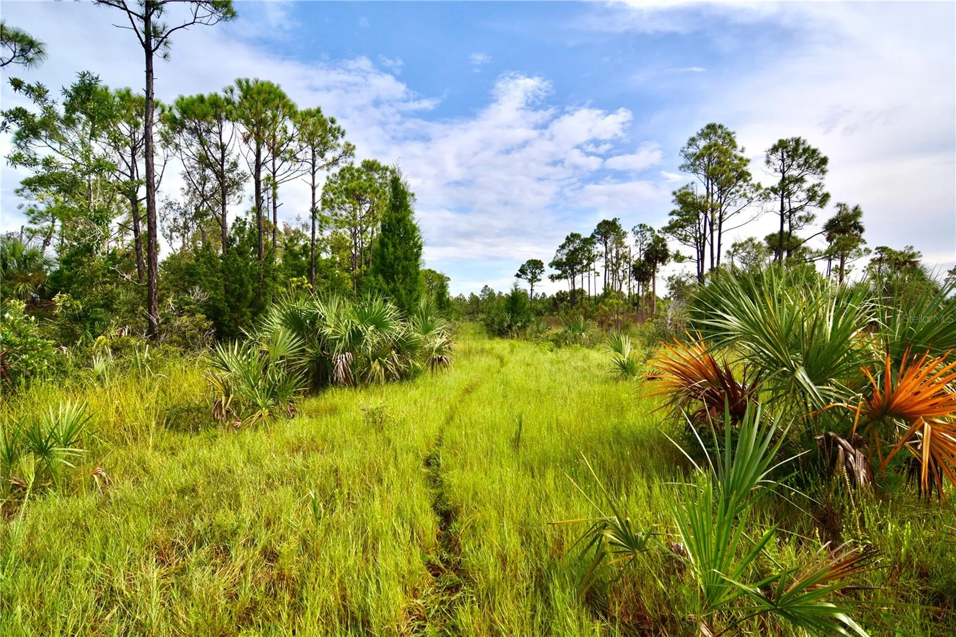 00 Lots 18, 19 Adams Beach Road Perry FL 32348