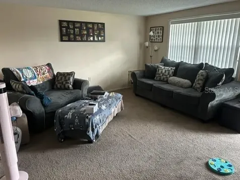 3723 Colonial Hills Drive New Port Richey FL 34652