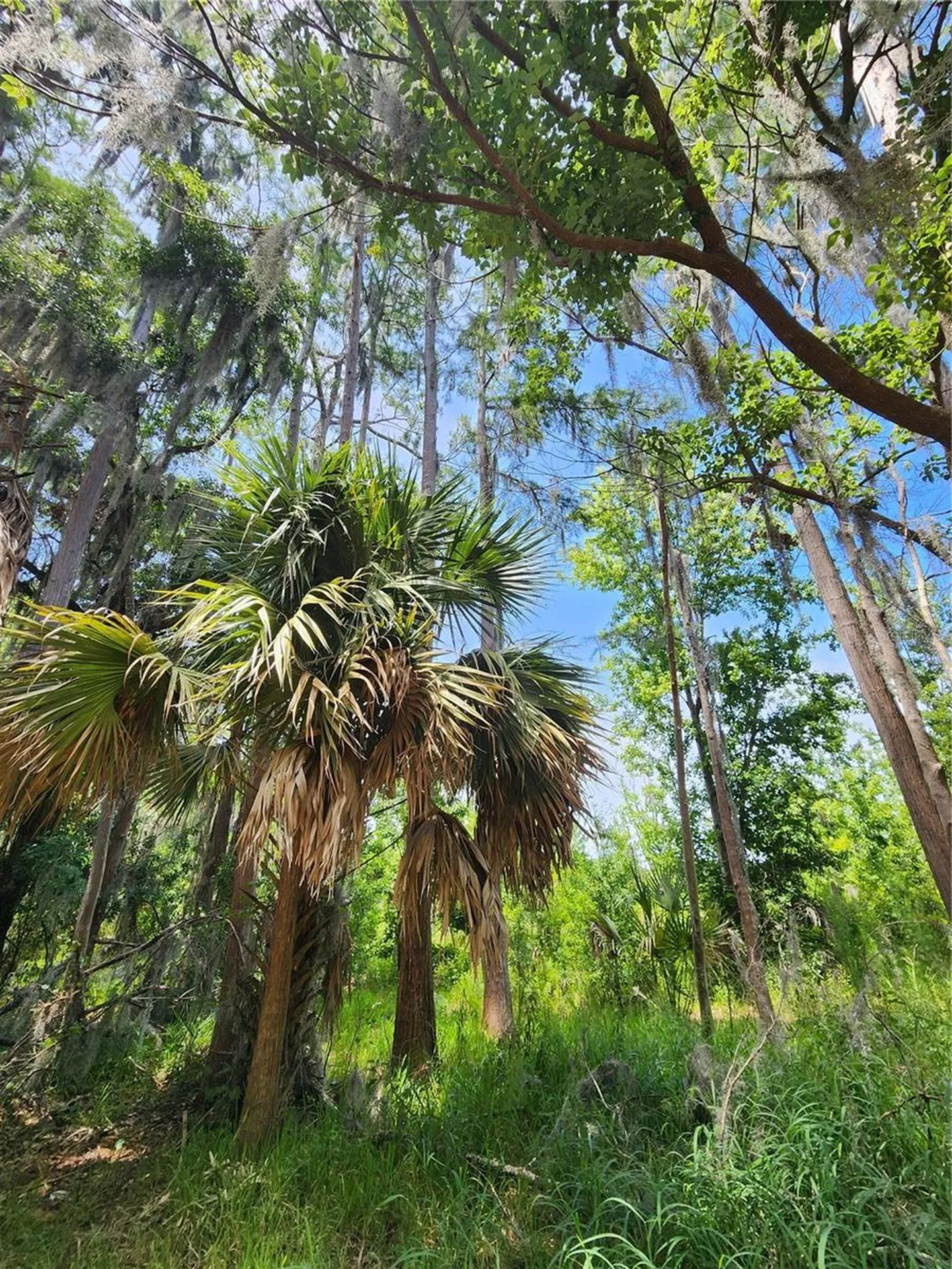 16950 Arrowhead Boulevard Winter Garden FL 34787