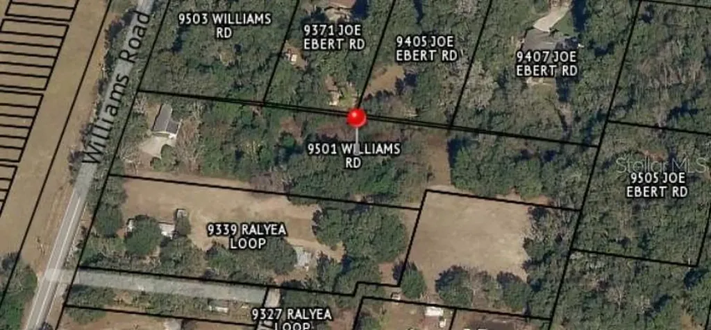 9501 Williams Road Seffner FL 33584