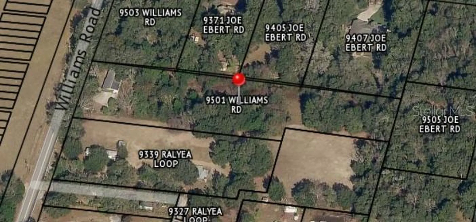9501 Williams Road Seffner FL 33584