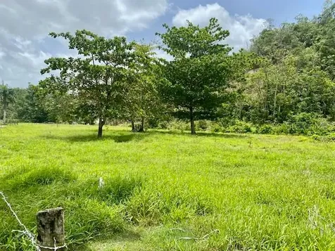 Pr 155 Ramal 646 Vega Baja PR 00693