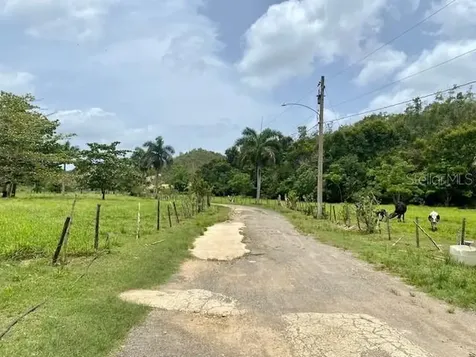 Pr 155 Ramal 646 Vega Baja PR 00693