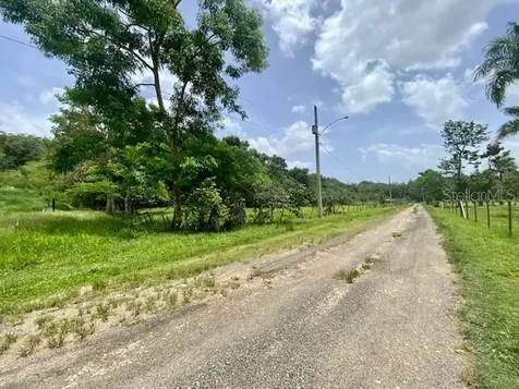 Pr 155 Ramal 646 Vega Baja PR 00693