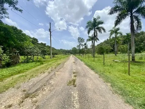 Pr 155 Ramal 646 Vega Baja PR 00693