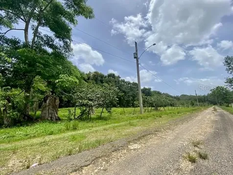 Pr 155 Ramal 646 Vega Baja PR 00693