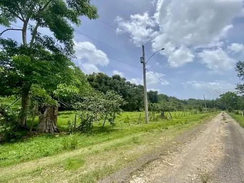 Pr 155 Ramal 646 Vega Baja PR 00693