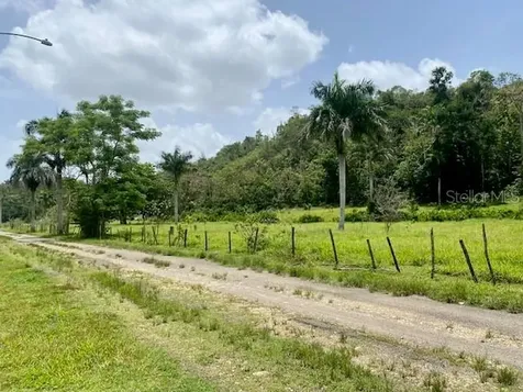 Pr 155 Ramal 646 Vega Baja PR 00693