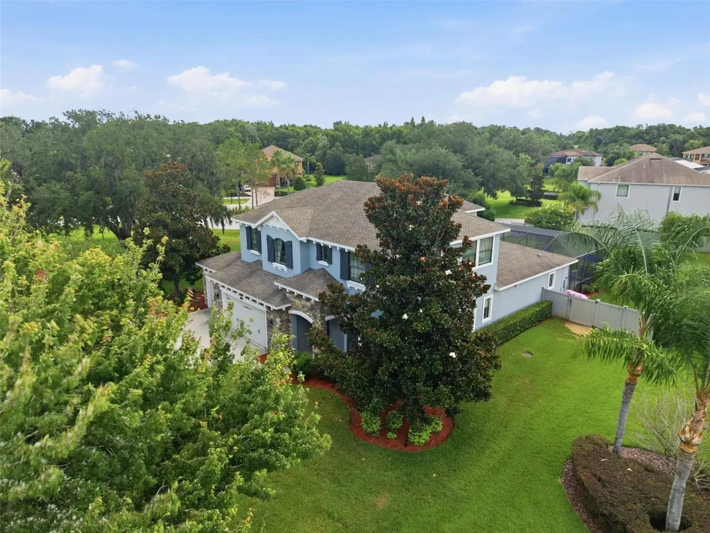 17909 Howsmoor Place Lutz FL 33559