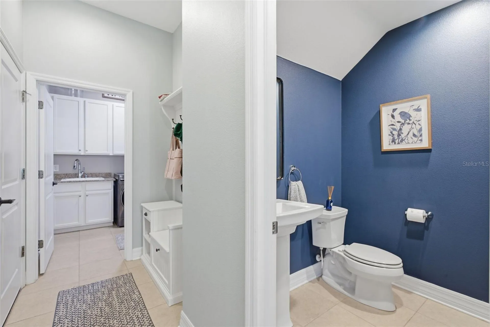 17909 Howsmoor Place Lutz FL 33559