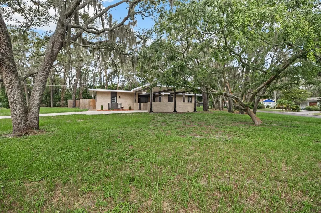 426 Fern Cliff Avenue Tampa FL 33617