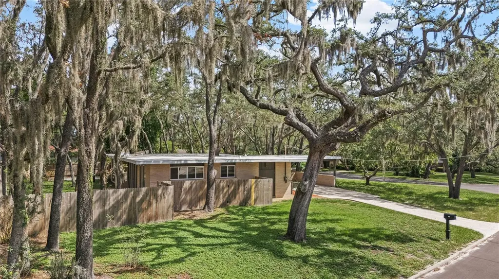 426 Fern Cliff Avenue Tampa FL 33617